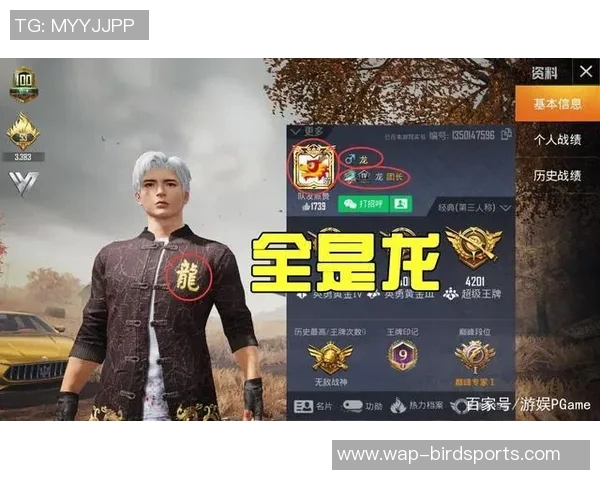 世界杯新闻和平精英巨献：深入解析BLG团队协作背后的成功秘诀与策略